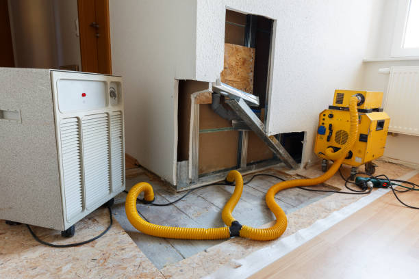 Dehumidification Services in Escanaba, MI